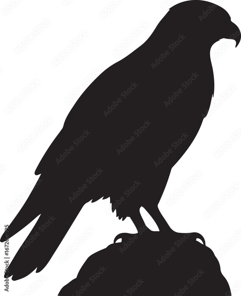Fototapeta premium Black silhouette of a hawk perched on a rock falcon bird of prey