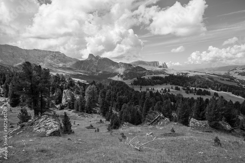 The wide meadows on the northern side of Sciliar mount in the Dolomites
