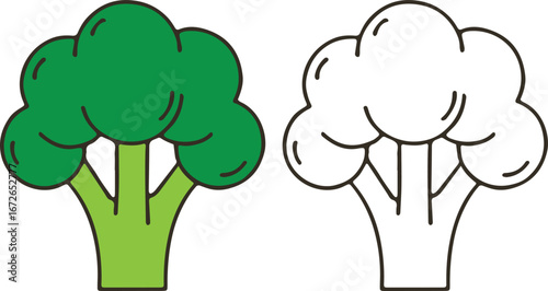 Vector Image of Broccoli Fresh, Healthy and Nutritious
