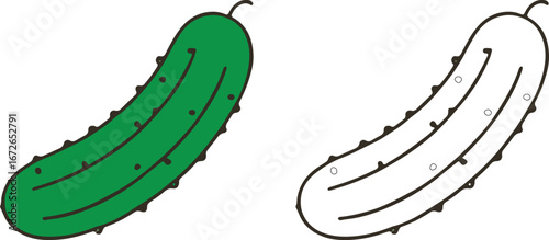 Green Cucumber and Outline Illustration