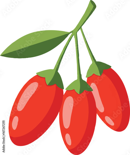 Bright red ripe goji berries on a stem, perfect for health food, nutrition, superfood, organic, berry, and vitamin concepts.