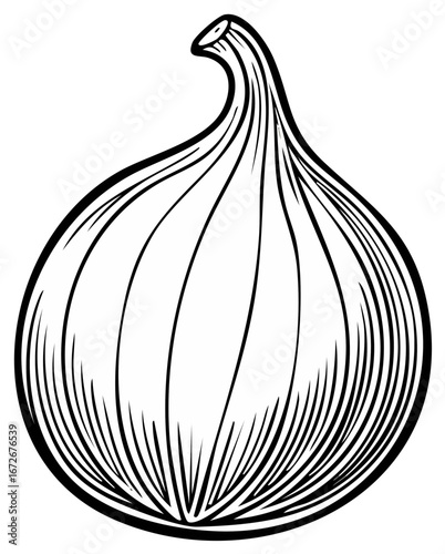 Fig Illustration Black Outline Fresh Fruit Food Vegan Diet Health Raw Food