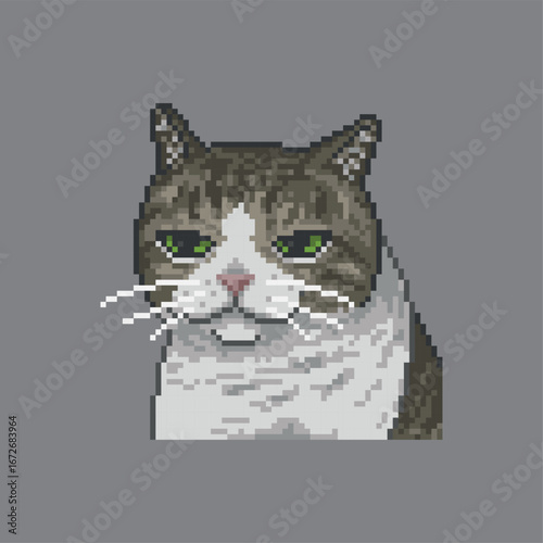 Bored cat, pixel art meme illustration