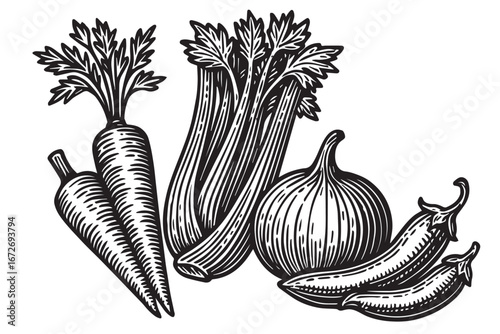 Etched Garden_ Carrots, Celery, Onion black and white etching engraving linocut woodcut lineart detailed botanical food illustration for packaging and artwork