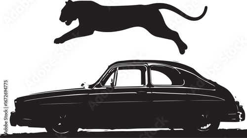 Panther leaping over vintage automobile big cat jumping