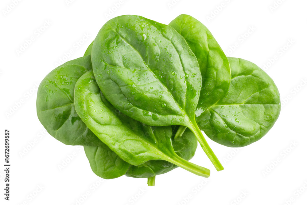 Fototapeta premium Fresh, vibrant spinach leaves glistening with water droplets ready for healthy recipes