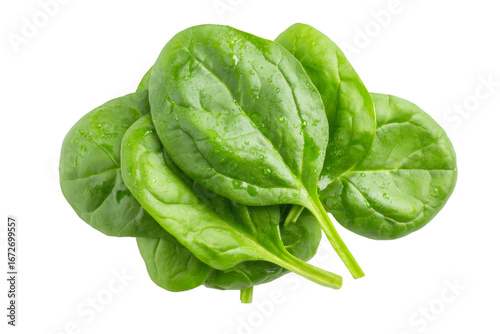Fresh, vibrant spinach leaves glistening with water droplets ready for healthy recipes