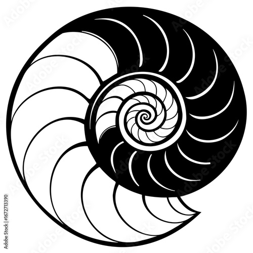 Abstract black and white nautilus shell spiral pattern, representing the golden ratio and fibonacci sequence