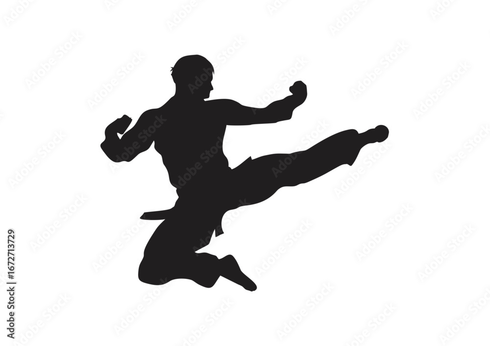 Fototapeta premium silhouette of a man karate- vector, isolated, air kick