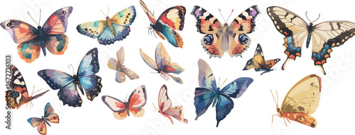 butterfly watercolor clipart 