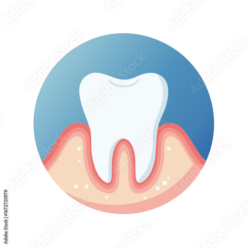 Healthy tooth illustration within a blue circle, with gums, and roots. Medical concept.