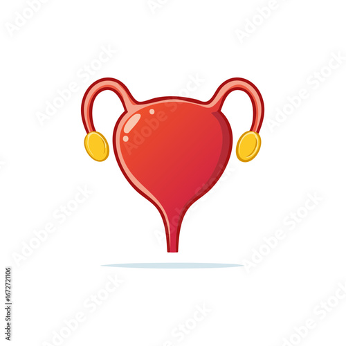 Red stylized human urinary bladder with fallopian tubes and ovaries