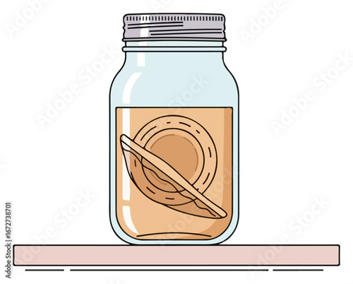 Kombucha Jar Illustration with SCOBY on Shelf.