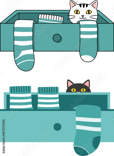 Cat peeking from drawer filled with folded socks in teal color  