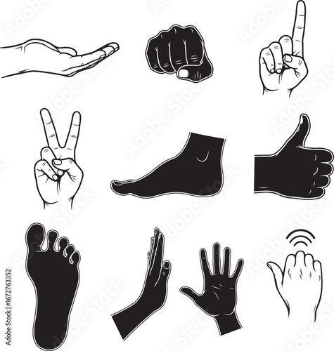 A stylized collection of various hand gestures and feet showing different expressions and poses