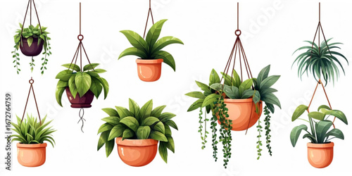 Collection of hanging plant vector illustration for decor design isolated on a white background	