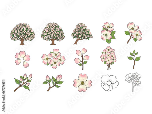 Blooming Dogwood Tree Elements:  A collection of intricately illustrated Dogwood tree elements showcasing the delicate beauty of blossoming dogwood trees, each element is crisp and vibrant.
