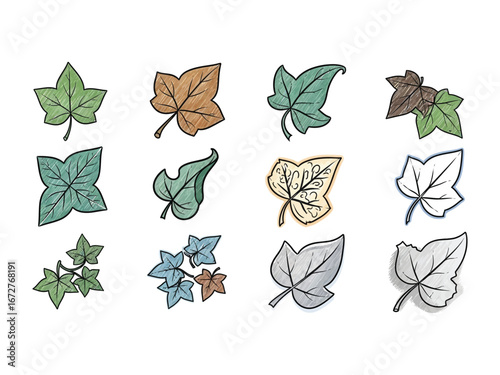 Botanical Symphony: A curated collection of twelve stylized leaf illustrations in a captivating array, showcasing the artistry of nature's foliage, perfect for botanical and design projects.