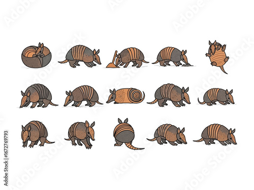 Armadillo Assortment: A curated collection of armadillo illustrations showcasing these unique armored creatures in various poses and activities. Perfect for educational and wildlife-themed designs.