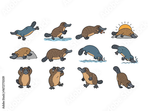 Playful Platypus Poses: A delightful illustrated collection of platypus showcasing a range of expressive poses.
