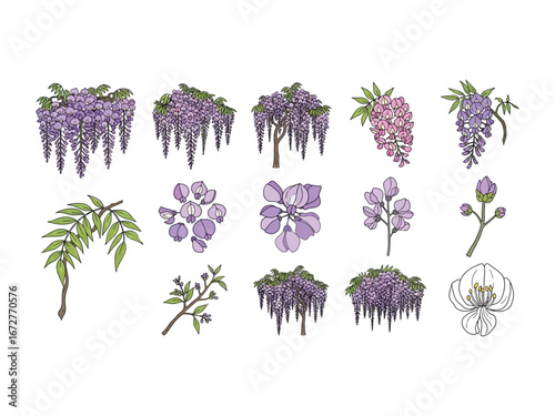 Botanical Beauty: Exquisite floral details, from cascading blossoms to delicate petals. A vibrant illustration of nature's intricate design, showcasing the elegance of botany.