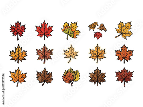 Autumn Leaf Collection: A captivating set of intricately detailed autumn leaves, each displaying a unique combination of vibrant colors, evoke a sense of the crisp fall season. 