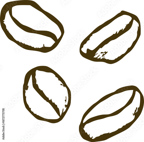 Hand-drawn coffee beans line art in minimalist sketch style. Great for packaging design, café branding, organic product labels, and decorative artwork.