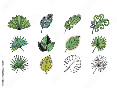 Assortment of Leaves Illustration: A captivating illustration showcases diverse leaf forms and textures, from lush green fronds to intricate veins, celebrating the beauty and variety of plant life. 