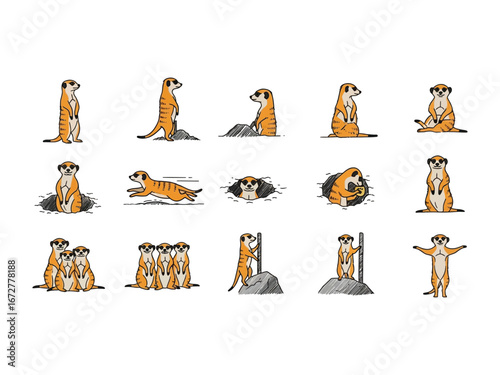 Meerkat's Variety Show: A compilation of meerkats in various poses, showcasing their curious nature and dynamic behaviour.