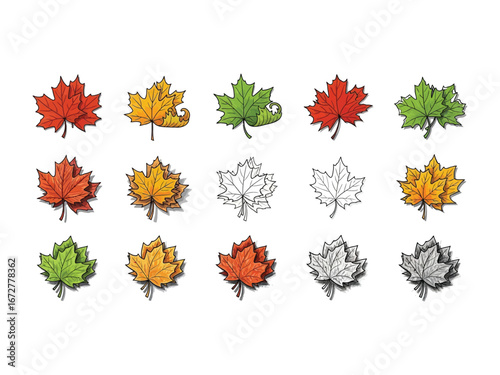Autumnal Maple Leaves: A vibrant collection of diverse maple leaves, showcasing the stunning spectrum of colors of the season. capturing a detailed array of textures and tones.