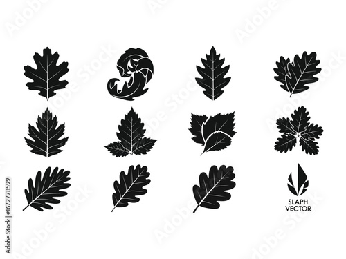 Botanical Silhouettes: A collection of stylized botanical silhouettes. Explore a curated set of leaves. Capturing a sense of natural form.
