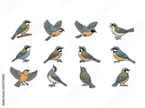 Assortment of Bird Poses: An assorted illustration showing a variety of bird poses, meticulously crafted and perfectly capturing their elegant forms. 