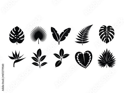 Exotic Leaf Collection: A collection of various exotic leaves, each leaf is isolated in black and captures the diverse forms, shapes, and textures. Each leaf presents unique artistic interpretation 
