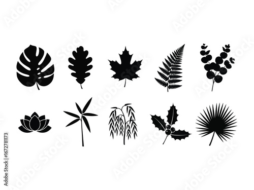 Botanical Beauty: Silhouette leaf collection showcasing diverse forms of plant foliage