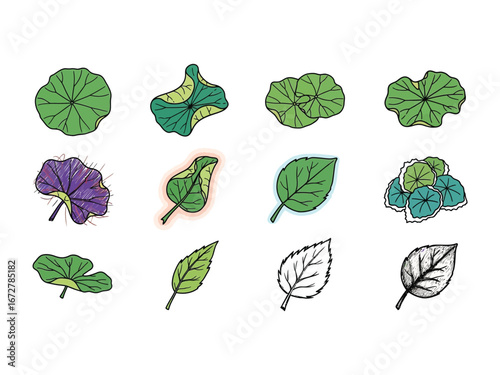 Diverse Leaf Variety: A collection of different stylized leaves arranged in a grid, showcasing varied forms and shades, each one a testament to the intricate designs found in nature's garden.