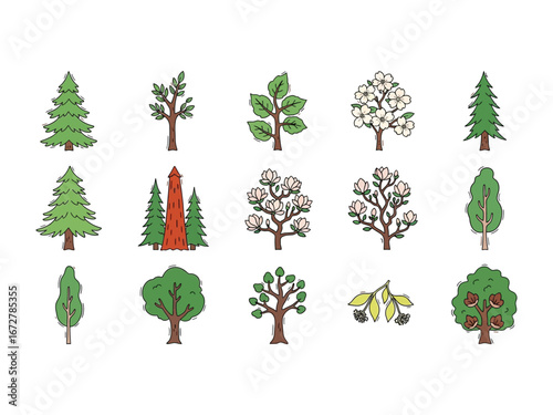 Diverse Tree Collection: A vibrant assortment of various tree species and tree types, each meticulously illustrated in colorful detail. 