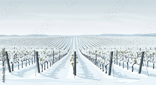 Winter's Embrace: A Snow-Kissed Vineyard Scene Under a Pale Horizon