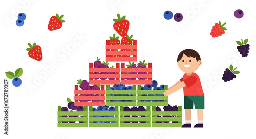 Cheerful Young Boy Arranging Fresh Berries Harvested From the Farm In Crates