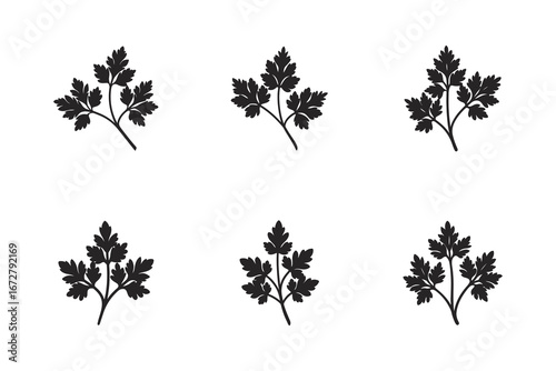 Parsley Silhouette Graphic Pattern Illustration for Cooking Herbs and Culinary Designs Fresh Parsley Texture Design Template Vector Art