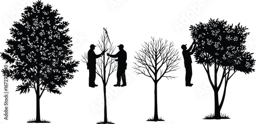 Tree Trimming and Arborist Worker Silhouettes, Tree Pruning, Garden Maintenance Illustration, Perfect for Landscaping, Forestry Services, and Environmental Project Designs