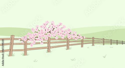 Cherry Blossom Branch Extending Over A Weathered Wooden Fence In A Tranquil Field