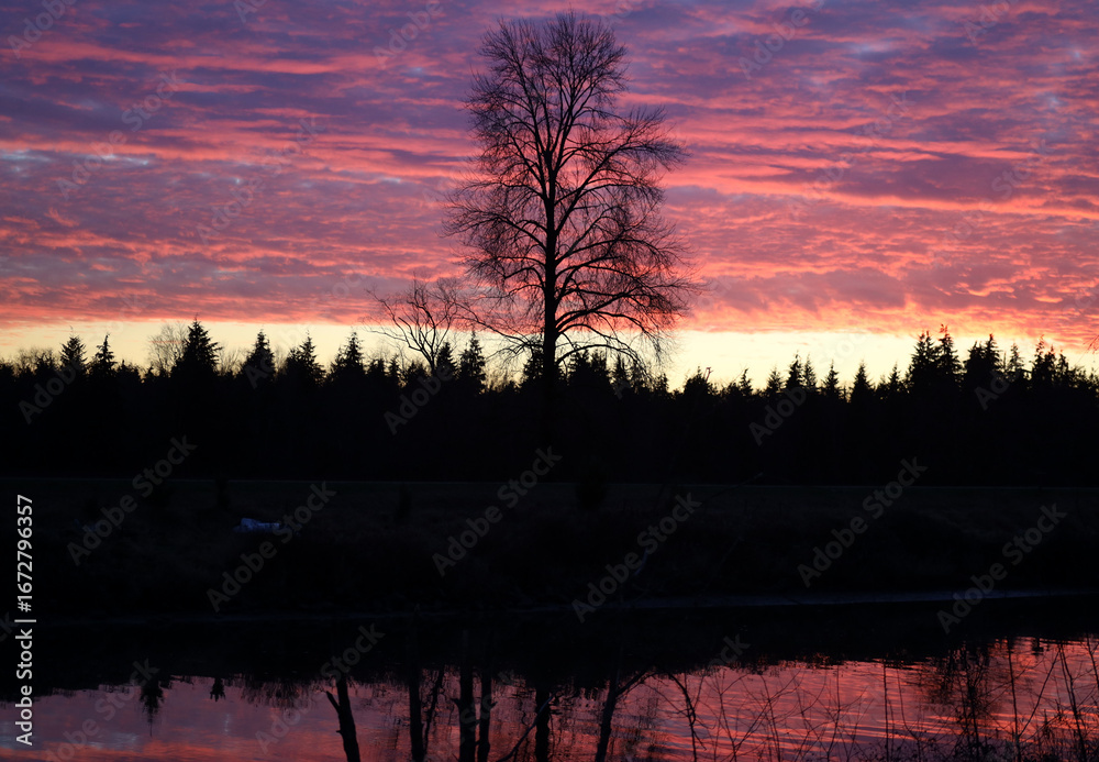Naklejka premium Winter morning purple clouds and leafless trees