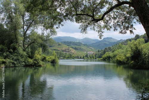 Scenic lake with trees and hills behind