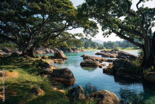 Stunning scenery featuring a lagoon rocks and trees in Sri Lanka