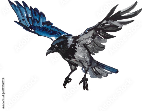 Illustration of a crow drawn with a brush. Charm. Hand-drawn style. Brush.
Birds. Black bird. Feathers. Wild. Food waste. Trash. Recycling.