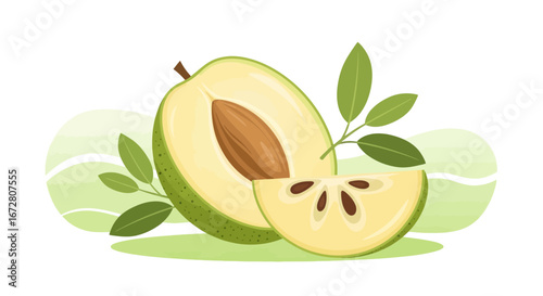 Delightful Sapodilla Fruit Illustration: A Fresh, Natural, And Delicious Botanical Image