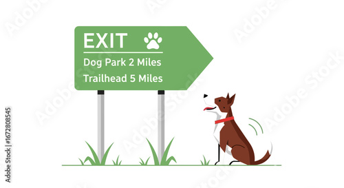 Dog Observes Directional Sign Indicating Exit, Dog Park And Trailhead Destinations