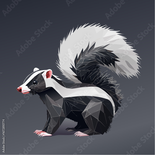 Vector Illustration of Black and White Skunk with His Tail Raised 9