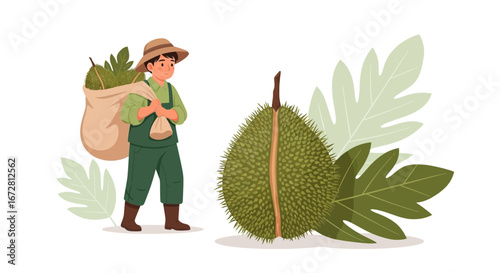Farmer Harvesting Exotic Fruit and Carrying Sack Near Freshly Cut Durian Illustration