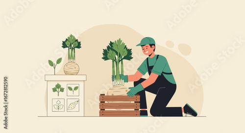 Farmer Harvesting Celery and Vegetables Displaying Organic Produce For Healthy Eating